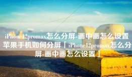 iPhone12promax怎么分屏-画中画怎么设置苹果手机如何分屏「iPhone12promax怎么分屏-画中画怎么设置」