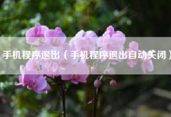 手机程序退出（手机程序退出自动关闭）