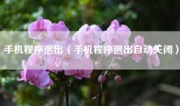 手机程序退出（手机程序退出自动关闭）
