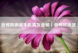 音频转换器手机清灰音频「音频转换器」