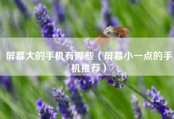 屏幕大的手机有哪些（屏幕小一点的手机推荐）