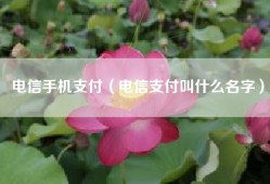 电信手机支付（电信支付叫什么名字）