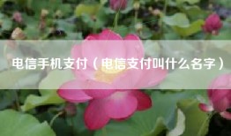 电信手机支付（电信支付叫什么名字）