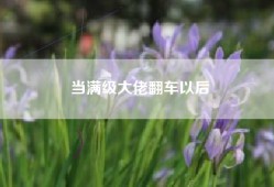 当满级大佬翻车以后