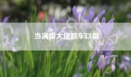 当满级大佬翻车以后