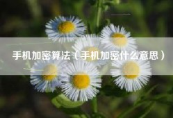 手机加密算法（手机加密什么意思）