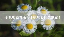 手机加密算法（手机加密什么意思）