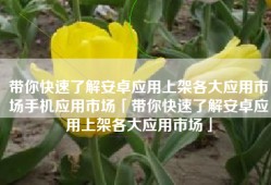 带你快速了解安卓应用上架各大应用市场手机应用市场「带你快速了解安卓应用上架各大应用市场」