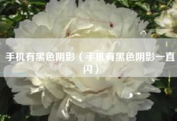 手机有黑色阴影（手机有黑色阴影一直闪）