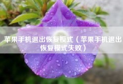 苹果手机退出恢复模式（苹果手机退出恢复模式失败）