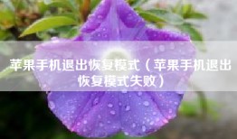 苹果手机退出恢复模式（苹果手机退出恢复模式失败）
