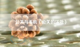 公关与手机（公关的坏处）