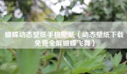 蝴蝶动态壁纸手机壁纸（动态壁纸下载免费全屏蝴蝶飞舞）
