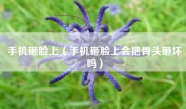 手机砸脸上（手机砸脸上会把骨头砸坏吗）