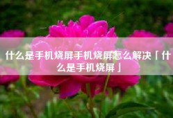 什么是手机烧屏手机烧屏怎么解决「什么是手机烧屏」