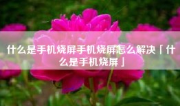 什么是手机烧屏手机烧屏怎么解决「什么是手机烧屏」