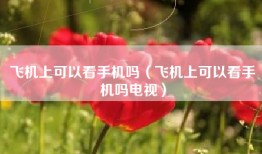 飞机上可以看手机吗（飞机上可以看手机吗电视）