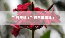 飞跃手机（飞跃手机卖场）