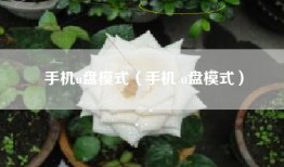 手机u盘模式（手机 u盘模式）