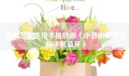 音响怎么连接手机放歌（小音响如何连接手机蓝牙）