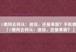 U盾何去何从：退役，还是革新？手机盾「U盾何去何从：退役，还是革新？」