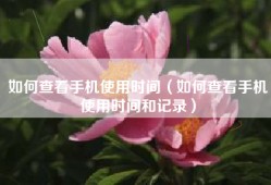 如何查看手机使用时间（如何查看手机使用时间和记录）