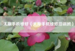 太原手机维修（太原手机维修培训班）