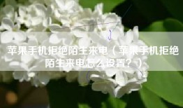 苹果手机拒绝陌生来电（苹果手机拒绝陌生来电怎么设置？）