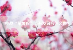 挑战“苹果税”，开发者应怎么做？