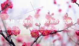 挑战“苹果税”，开发者应怎么做？