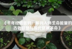 《千年经络密码：解码人体生命能量的古老智慧与现代健康革命》