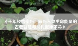 《千年经络密码：解码人体生命能量的古老智慧与现代健康革命》