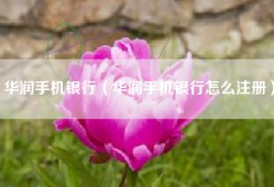 华润手机银行（华润手机银行怎么注册）