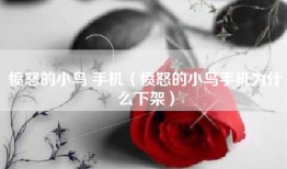 愤怒的小鸟 手机（愤怒的小鸟手机为什么下架）