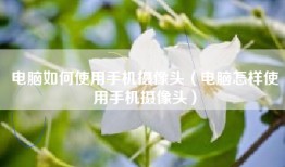 电脑如何使用手机摄像头（电脑怎样使用手机摄像头）