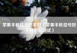 苹果手机信号好不好（苹果手机信号好不好怎么测试）