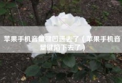 苹果手机音量键凹进去了（苹果手机音量键陷下去了）