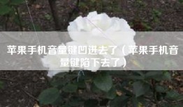 苹果手机音量键凹进去了（苹果手机音量键陷下去了）