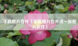 手机照片合并（手机照片合并成一张照片软件）