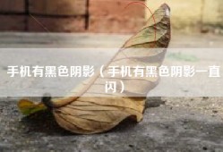 手机有黑色阴影（手机有黑色阴影一直闪）