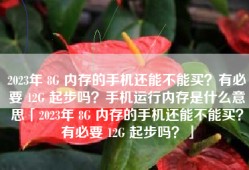 2023年 8G 内存的手机还能不能买？有必要 12G 起步吗？手机运行内存是什么意思「2023年 8G 内存的手机还能不能买？有必要 12G 起步吗？」