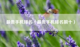 最贵手机排名（最贵手机排名前十）