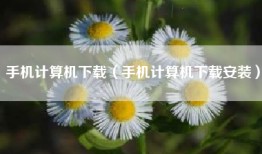 手机计算机下载（手机计算机下载安装）