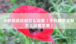 手机键盘皮肤怎么设置（手机键盘皮肤怎么设置苹果）