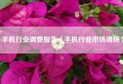 手机行业调查报告（手机行业市场调研）