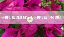 手机行业调查报告（手机行业市场调研）