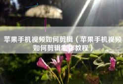 苹果手机视频如何剪辑（苹果手机视频如何剪辑制作教程）