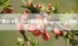 新款手机oppo（新款手机opporeno12上市时间）