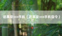 诺基亚1010手机（诺基亚1010手机指令）