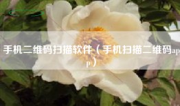 手机二维码扫描软件（手机扫描二维码app）